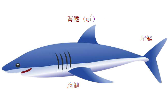 氣-水換熱器 力強(qiáng)環(huán)保